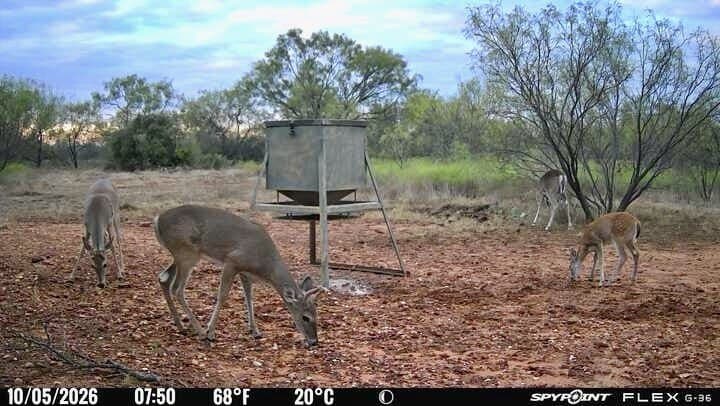 60 acres in Mills County - photo 11