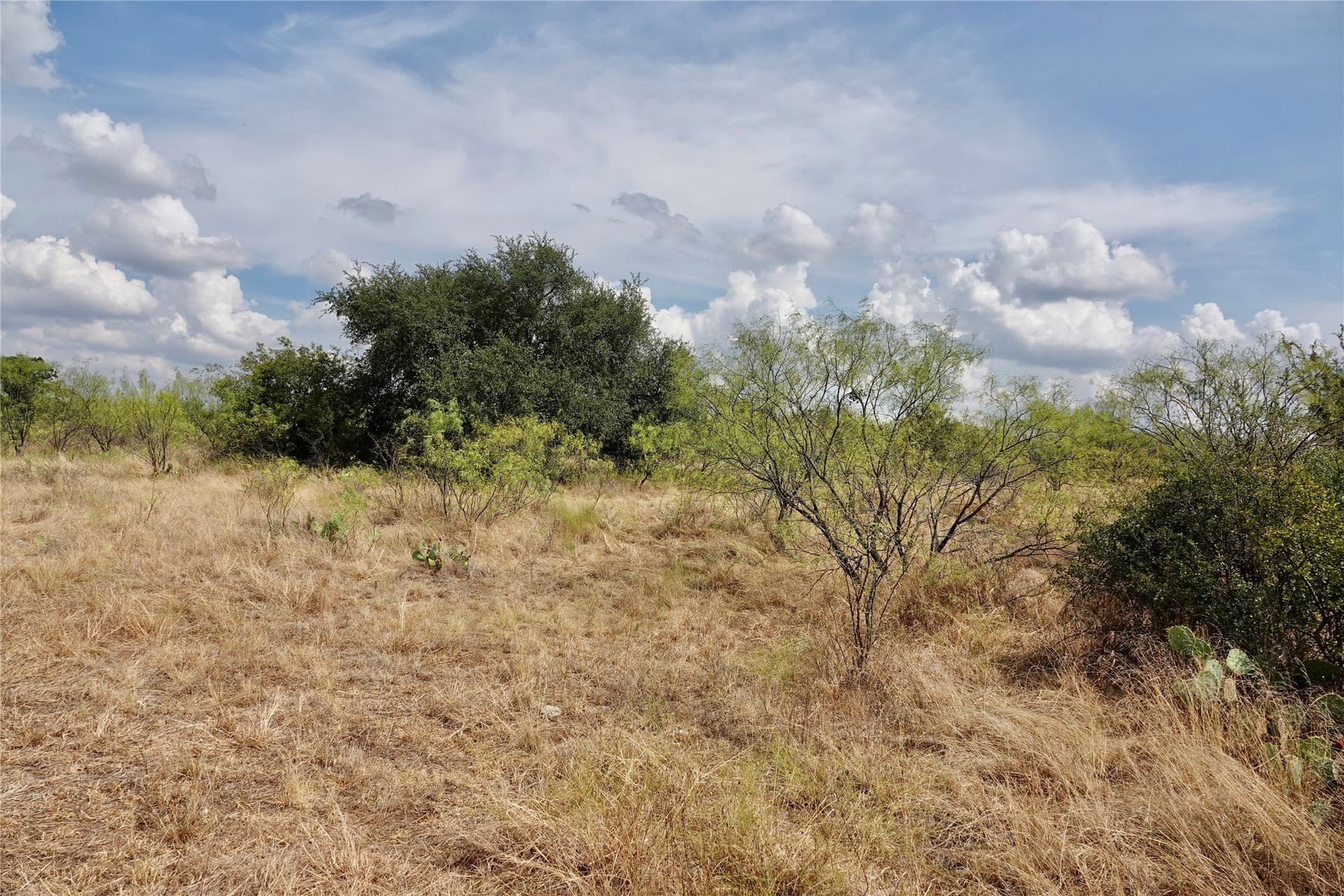 60 acres in Mills County - photo 36