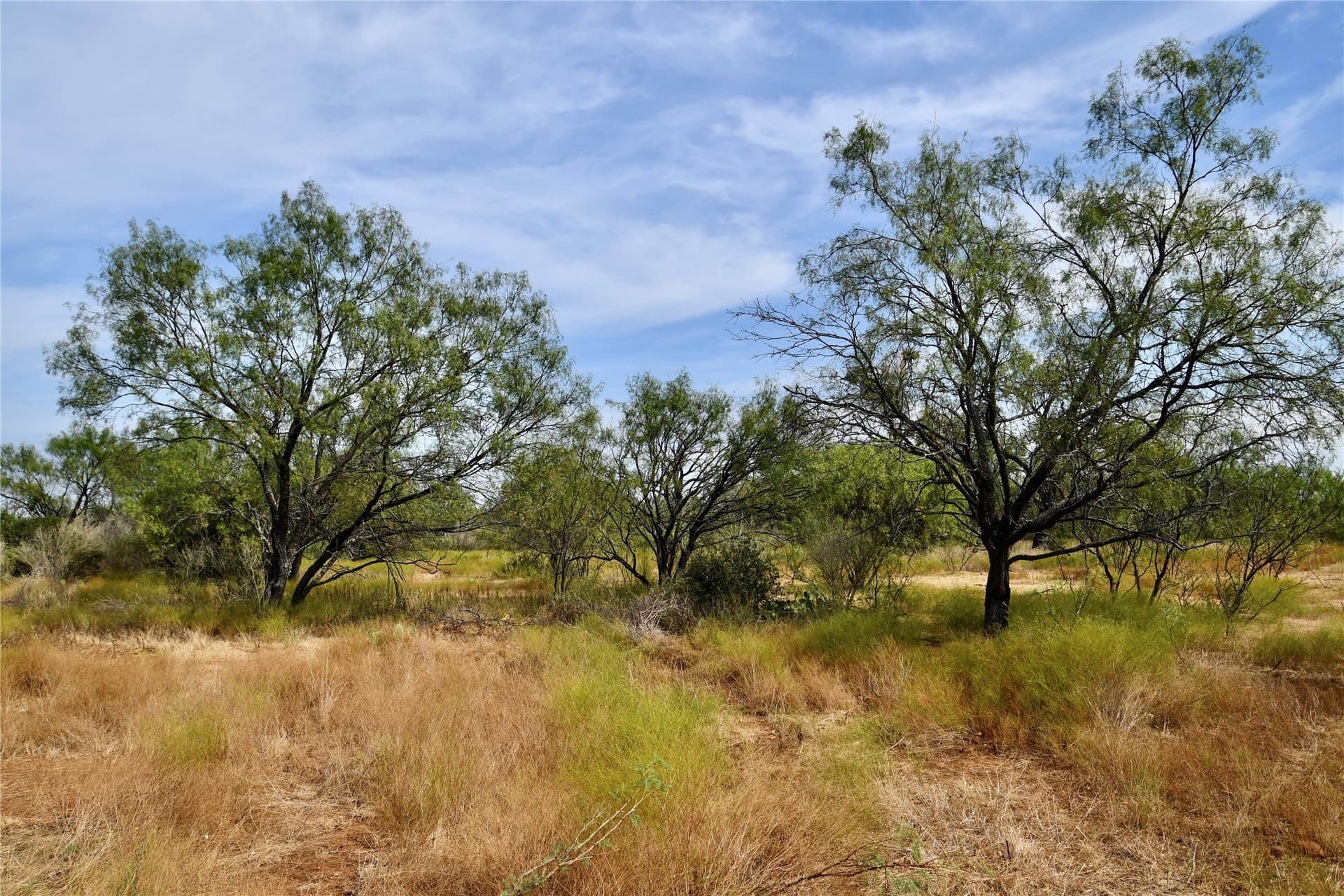 60 acres in Mills County - photo 21