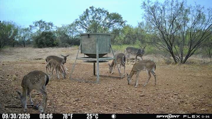 60 acres in Mills County - photo 9