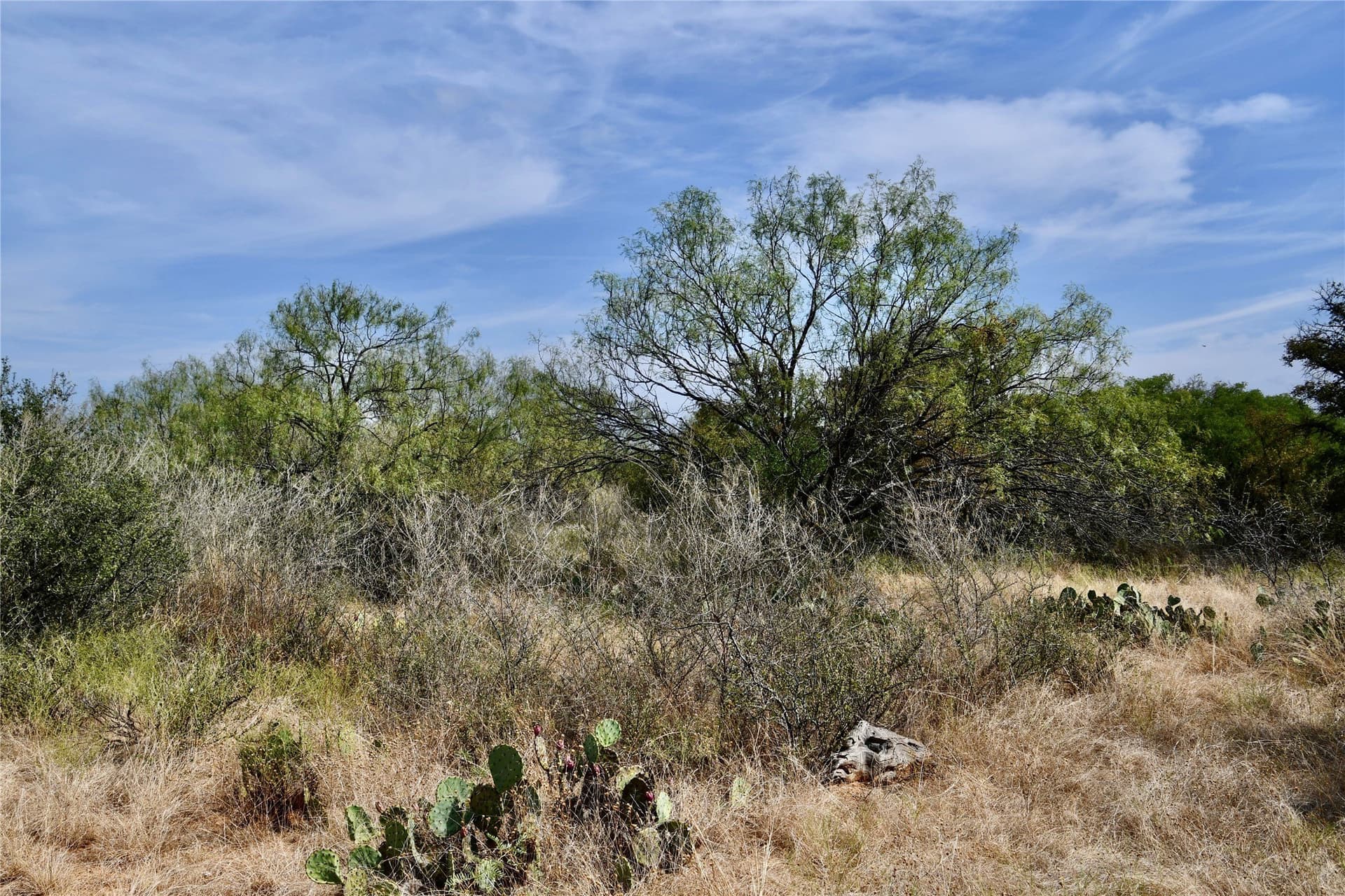 60 acres in Mills County - photo 24