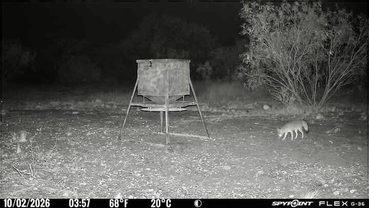 60 acres in Mills County - photo 15