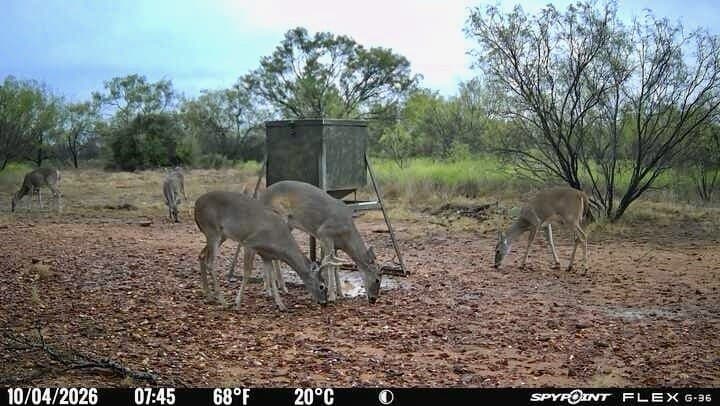 60 acres in Mills County - photo 10