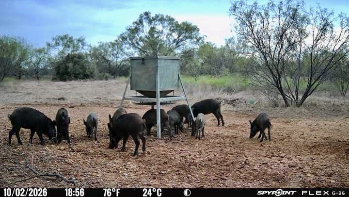 60 acres in Mills County - photo 13