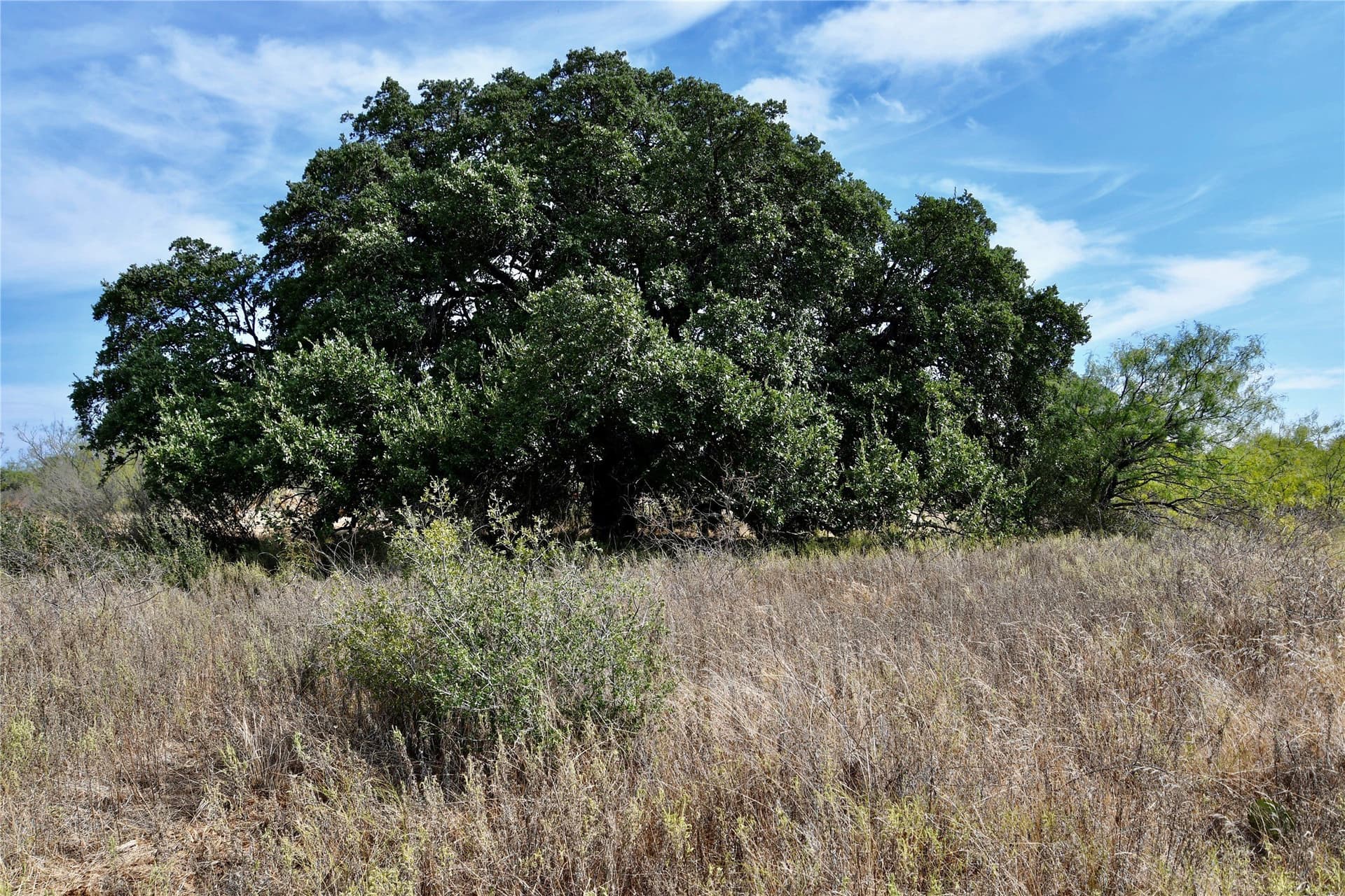 60 acres in Mills County - photo 17