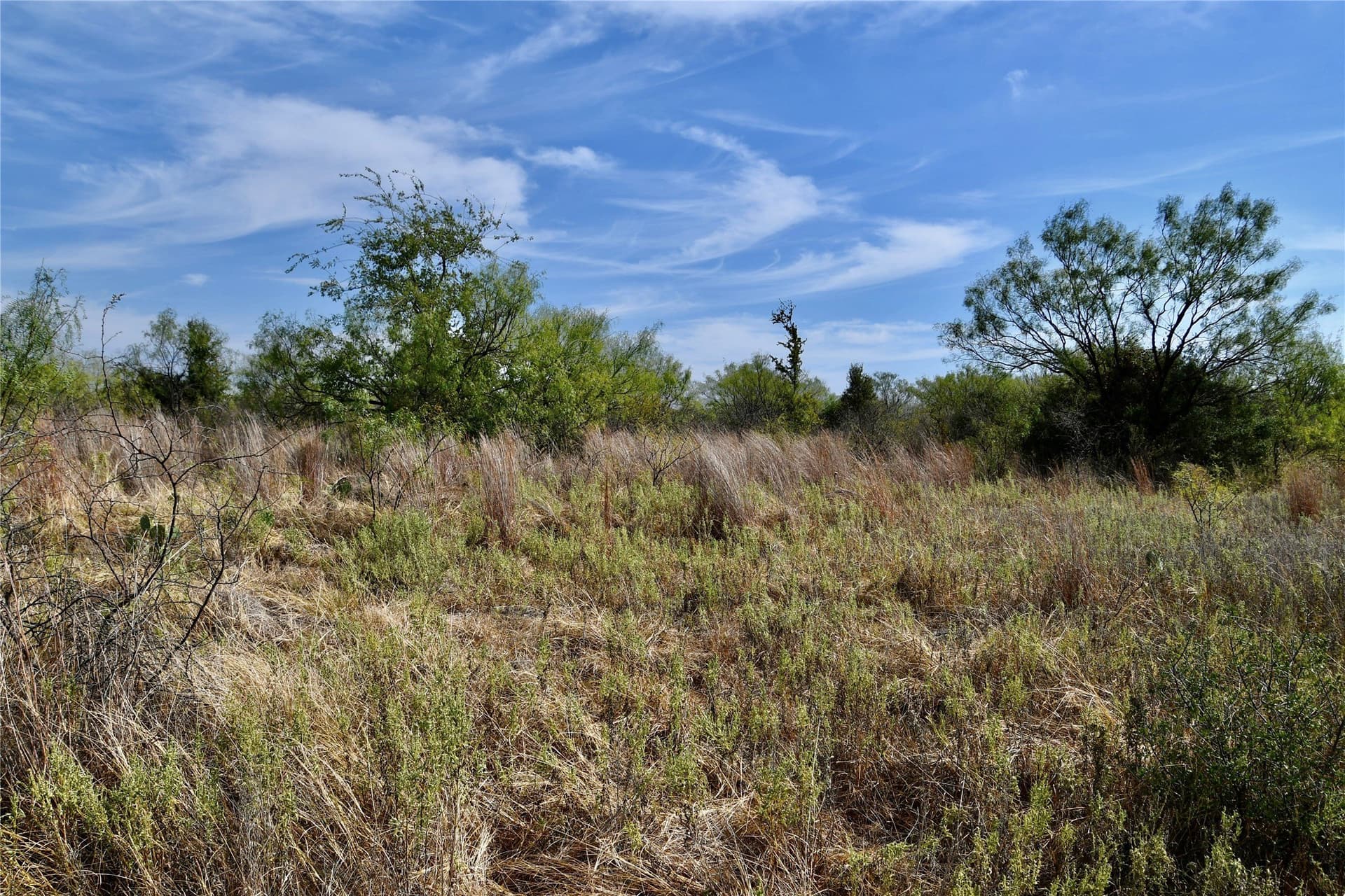 60 acres in Mills County - photo 20