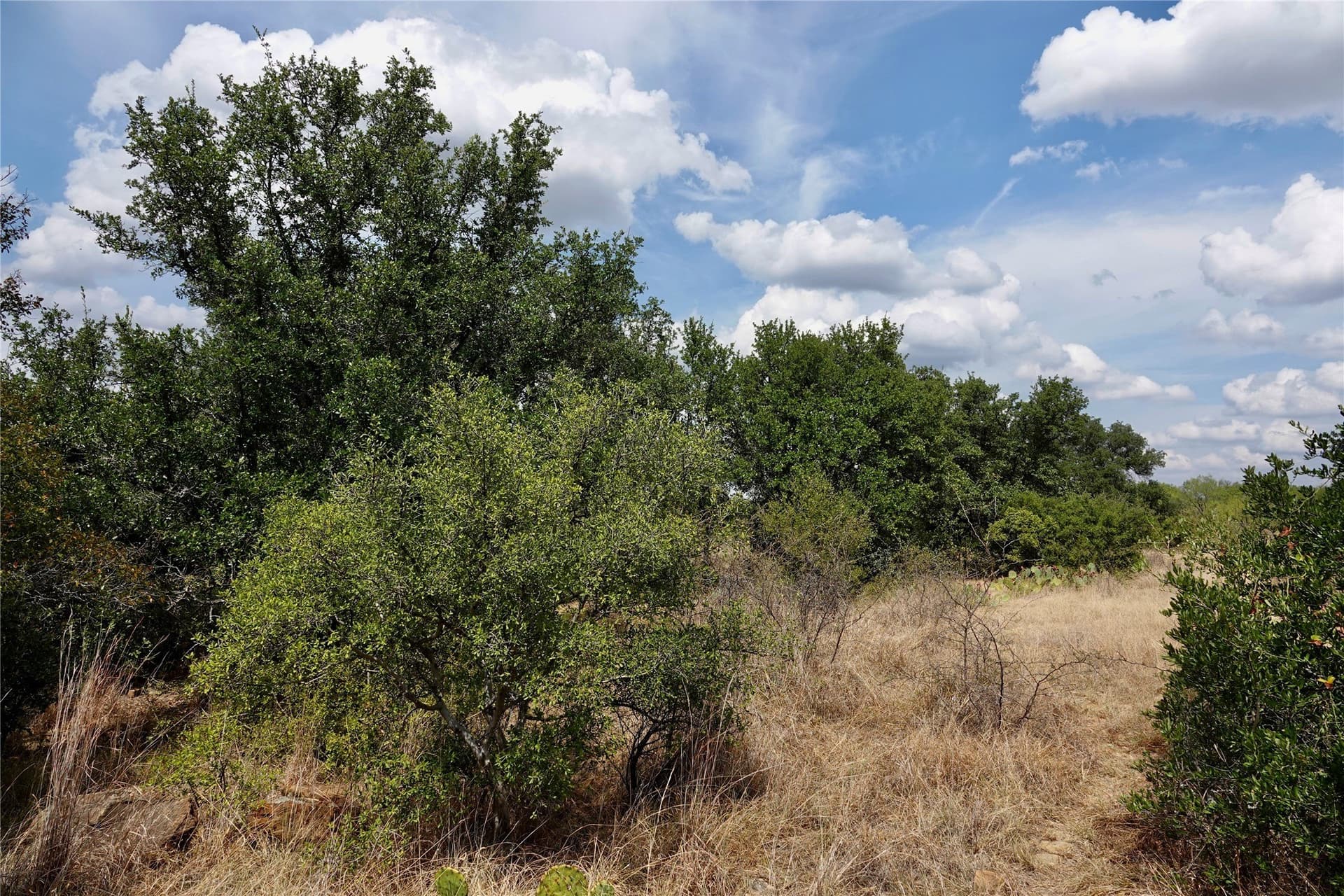 60 acres in Mills County - photo 35