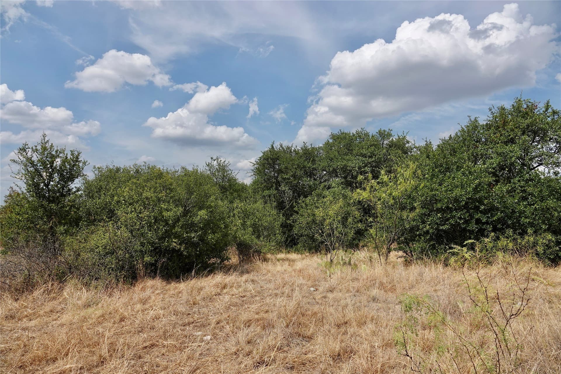 60 acres in Mills County - photo 38