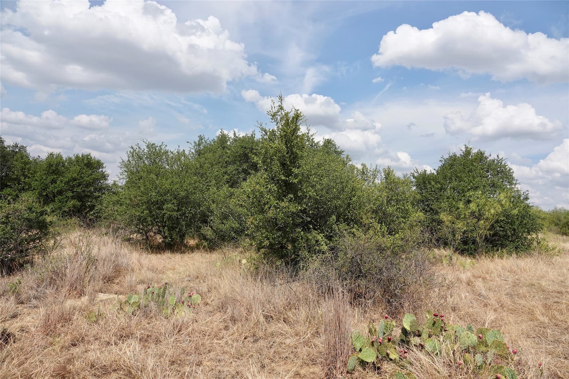 60 acres in Mills County - photo 37