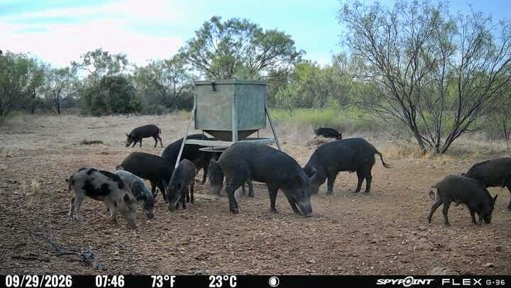 60 acres in Mills County - photo 12