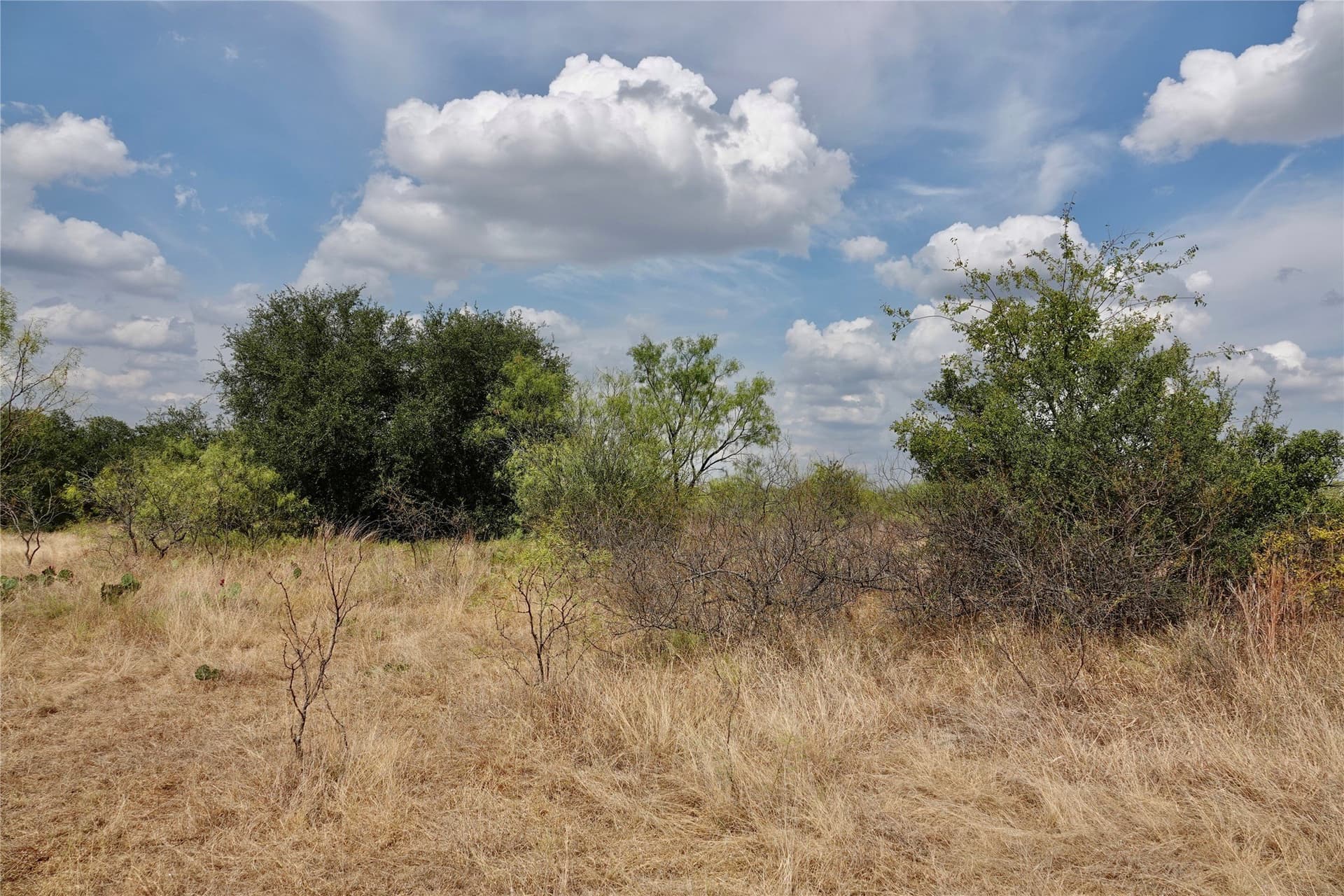 60 acres in Mills County - photo 39