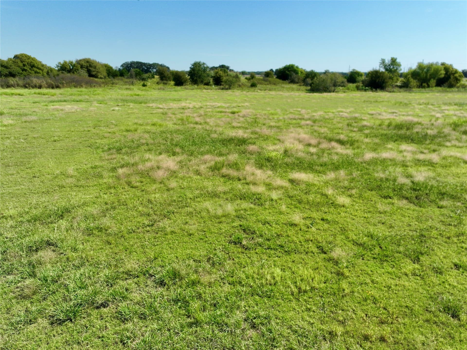102.51 acres in Navarro County - photo 14