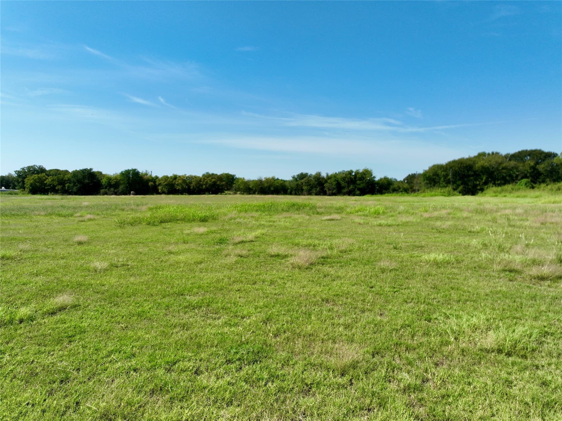 102.51 acres in Navarro County - photo 19