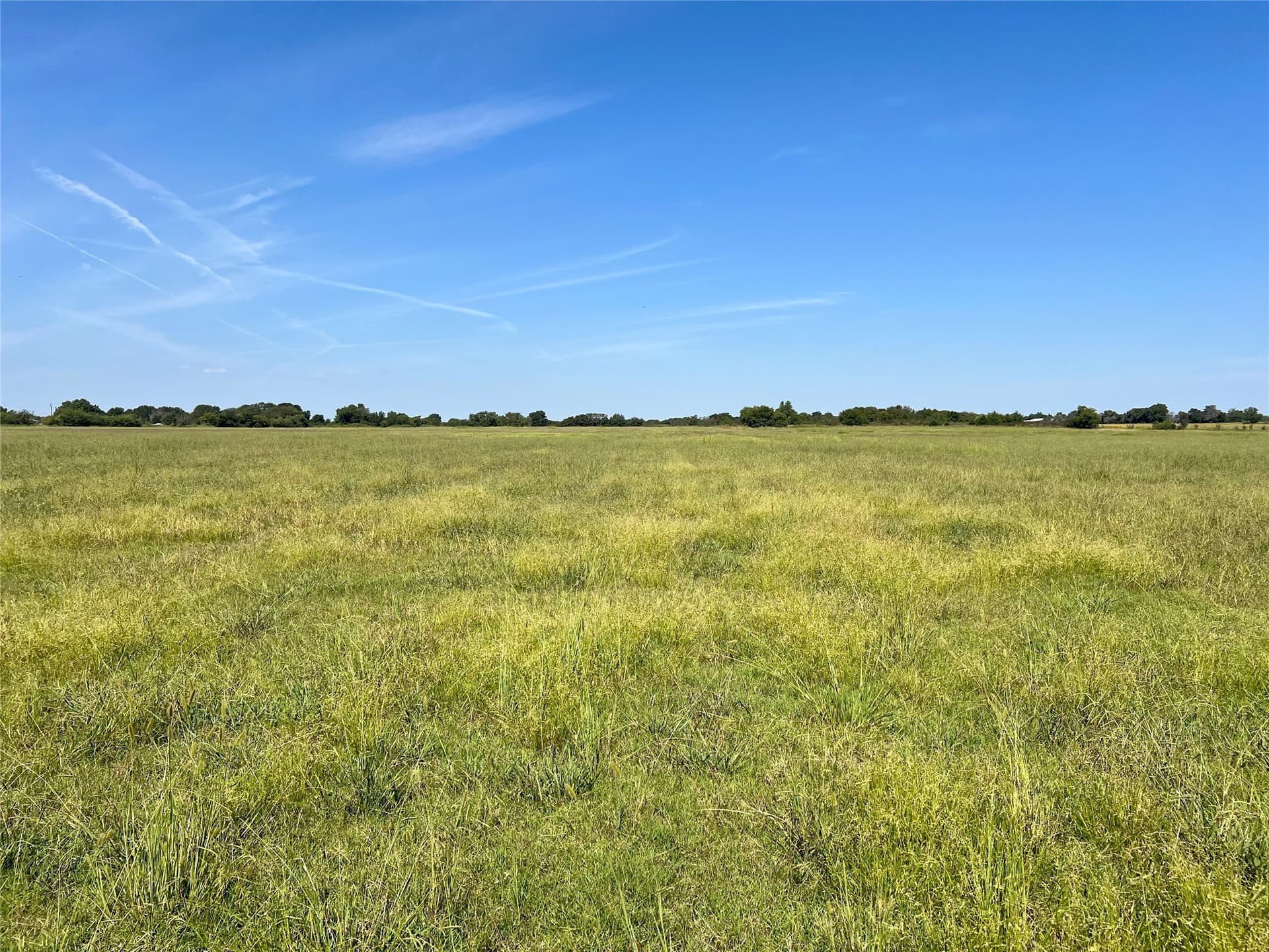 102.51 acres in Navarro County - photo 20