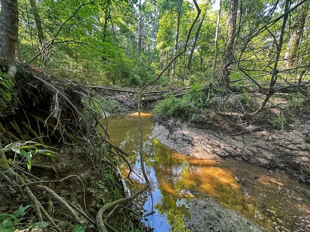 32.57 acres in Angelina County gallery image 3