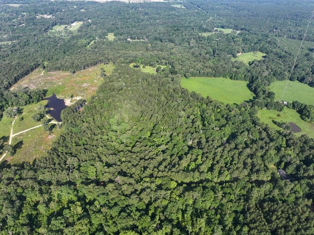 32.57 acres in Angelina County gallery image 2