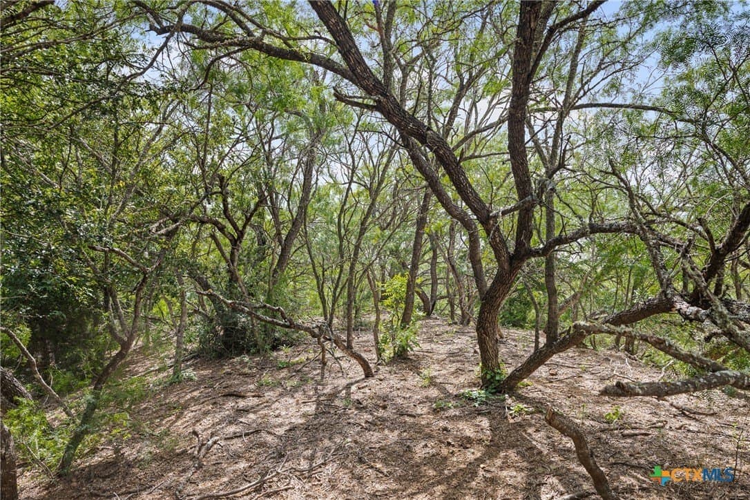9.81 acres in Caldwell County - photo 15