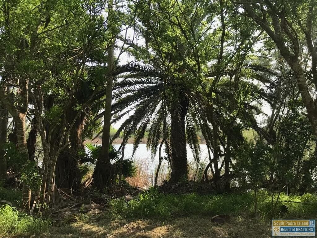 0 acres in Cameron County - photo 3