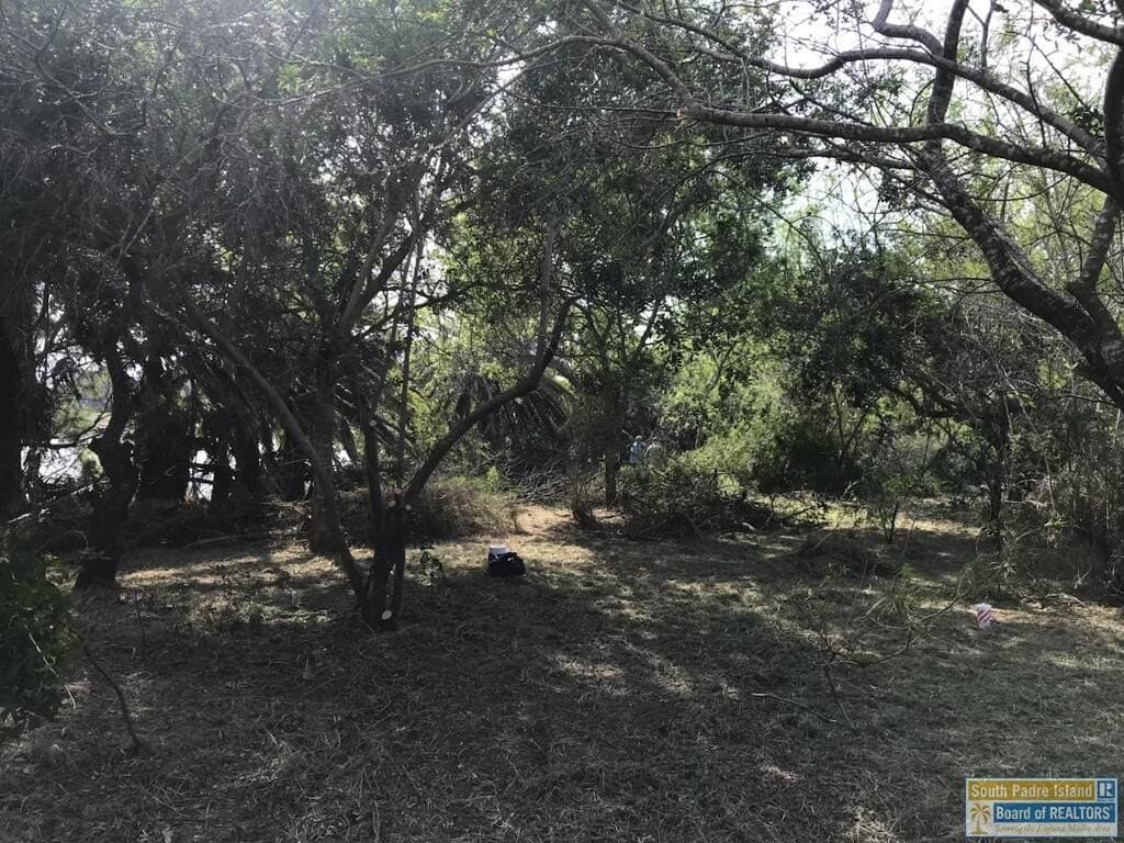 0 acres in Cameron County - photo 8