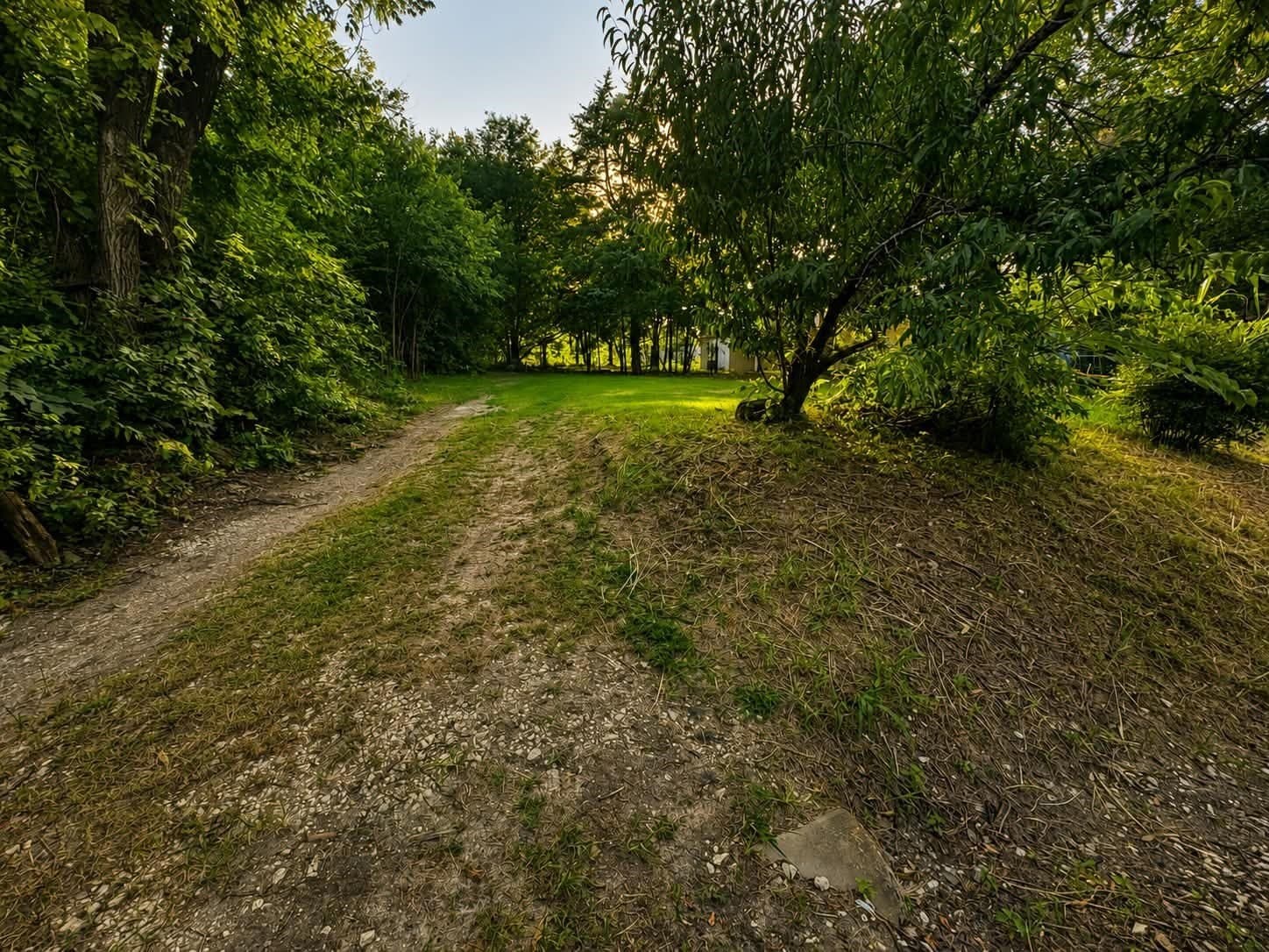 0.09 acres in Fannin County gallery image 3