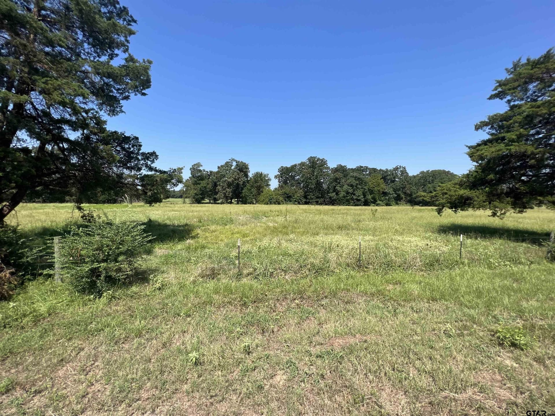 10 acres in Titus County gallery image 4