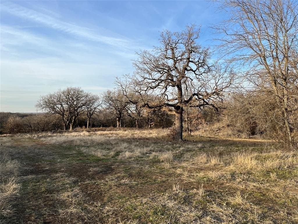 10.99 acres in Johnson County featured view