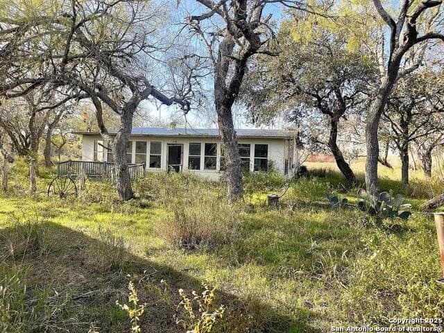 79 acres in Bee County featured view
