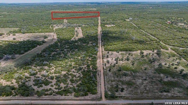 79 acres in Bee County gallery image 3