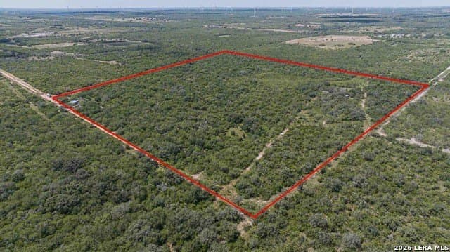79 acres in Bee County gallery image 2