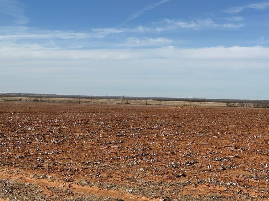 160.3 acres in Mitchell County gallery image 4