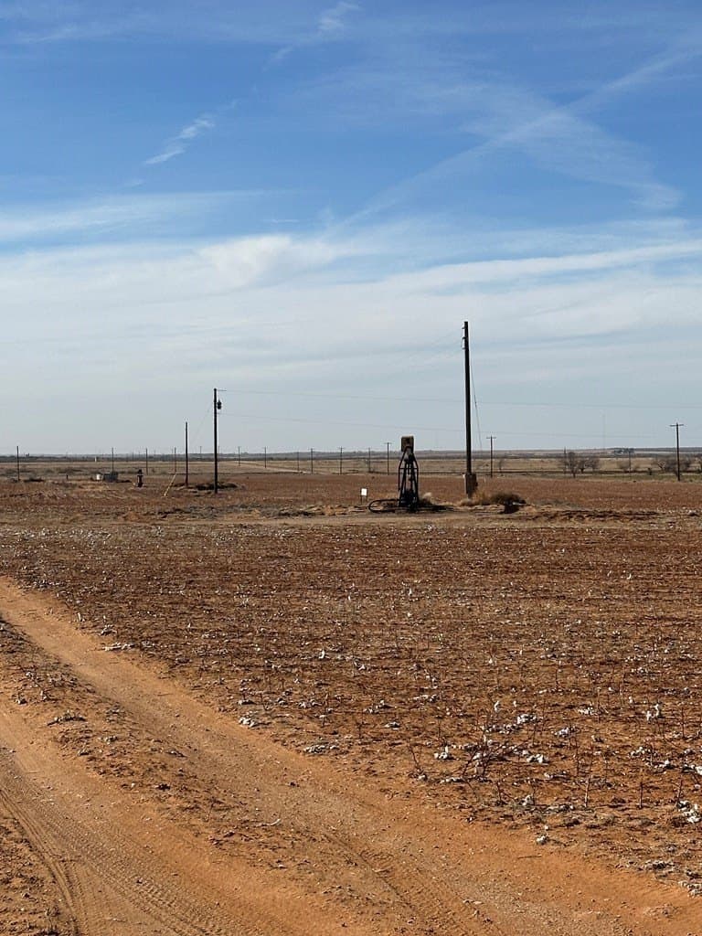 160.3 acres in Mitchell County gallery image 3