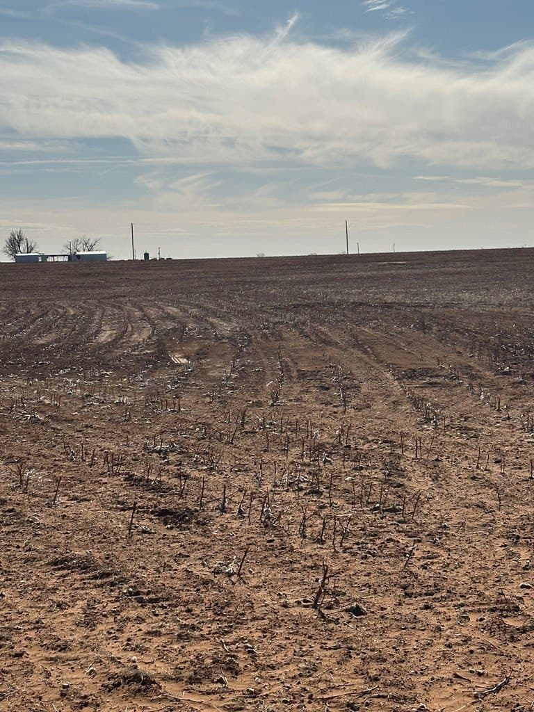 160.3 acres in Mitchell County gallery image 2