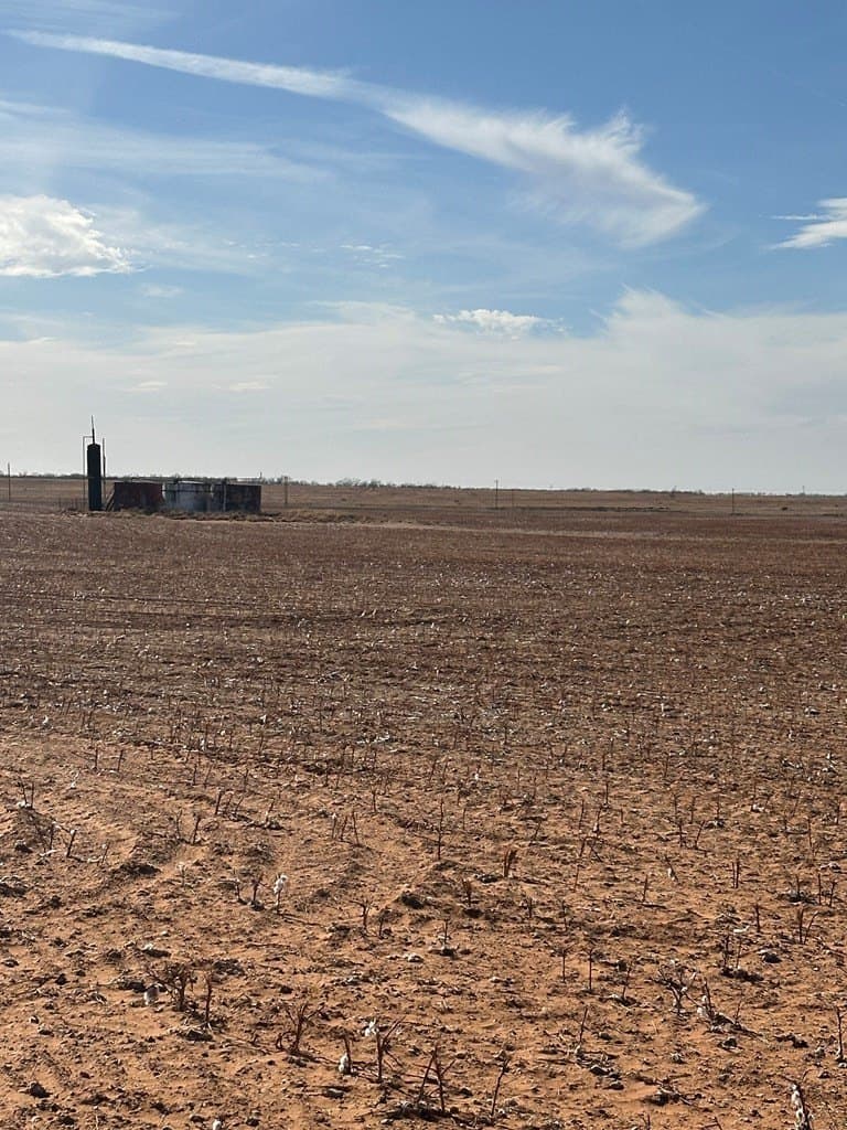 160.3 acres in Mitchell County featured view