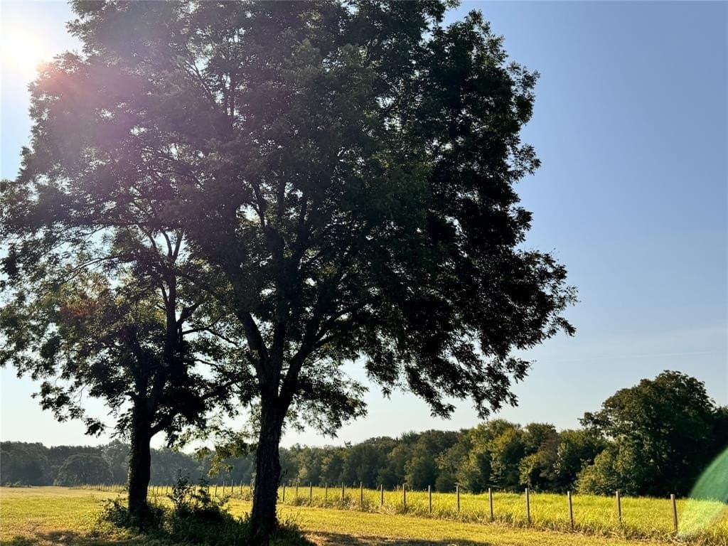 10.01 acres in Rains County featured view