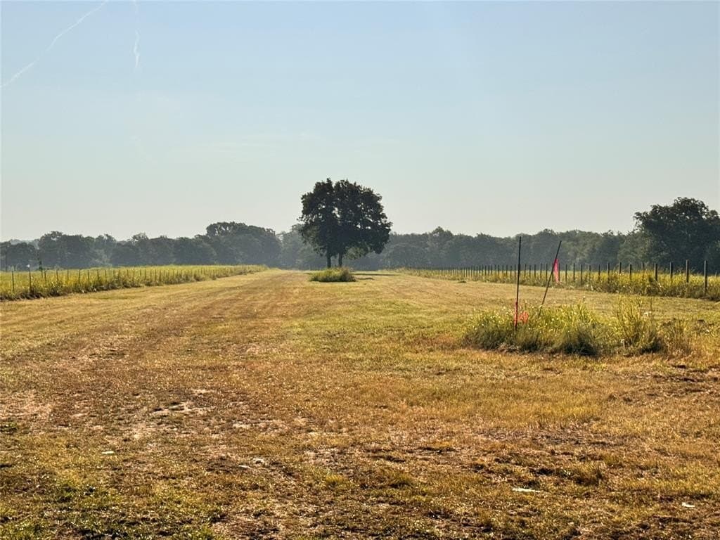 10.01 acres in Rains County gallery image 4