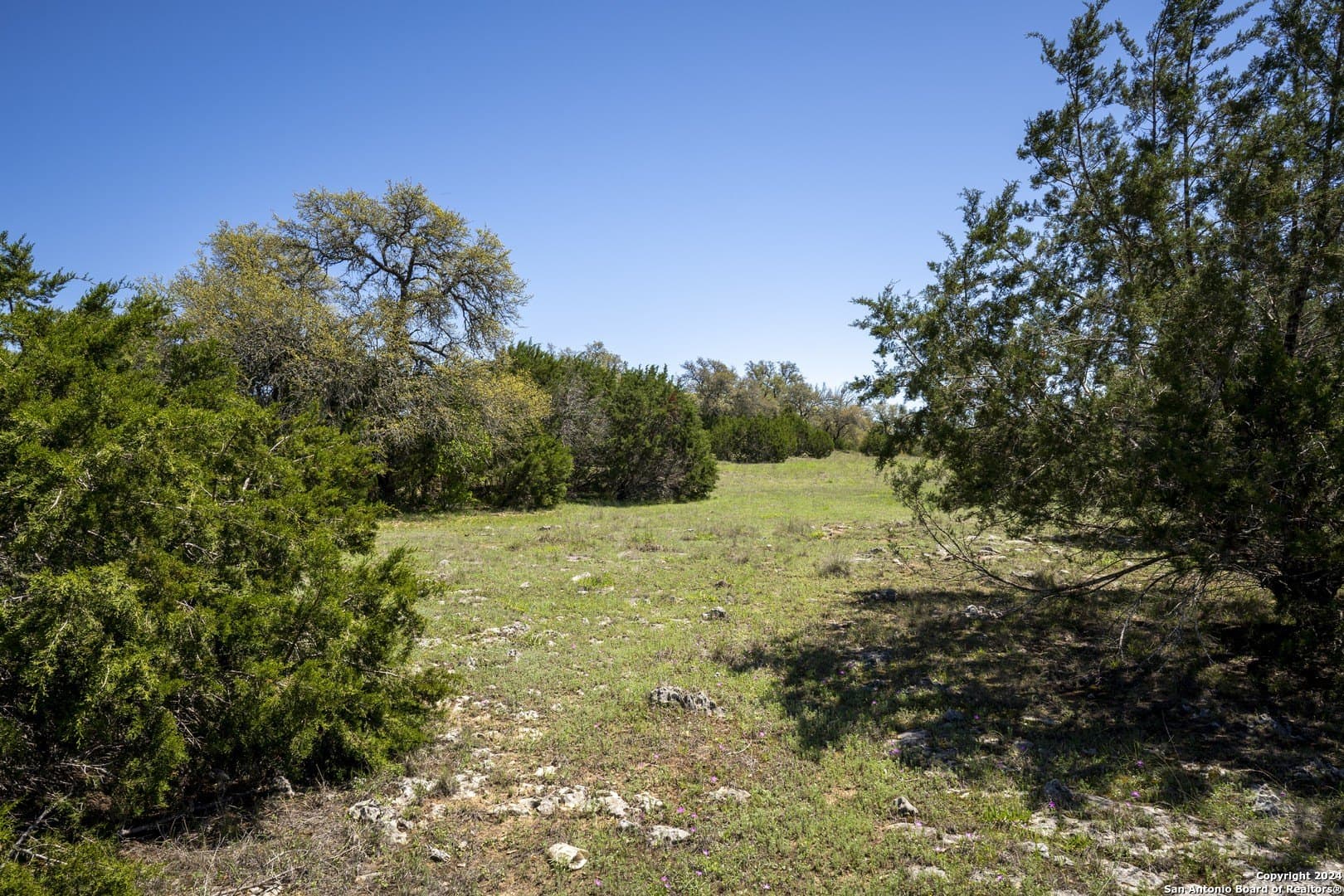 2.9 acres in Kendall County - photo 17