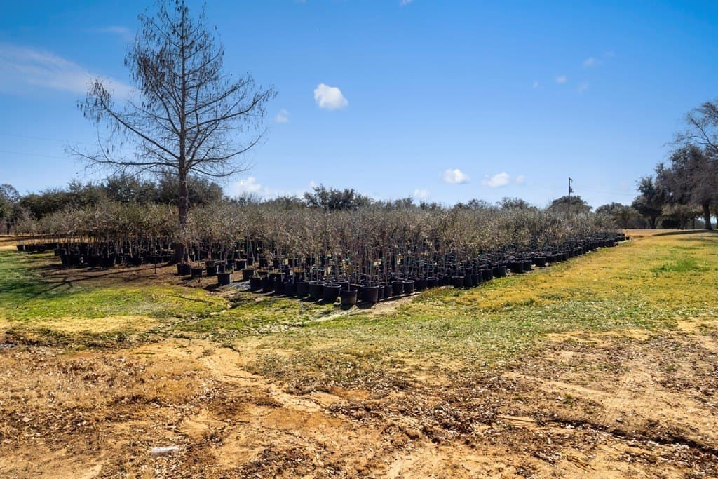 140 acres in Texas County - photo 52