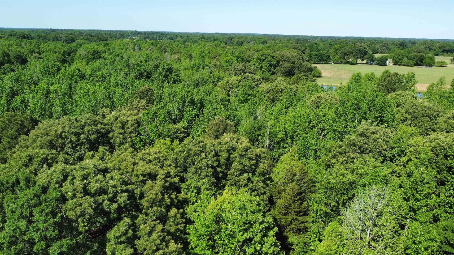 31.92 acres in Wood County - photo 15
