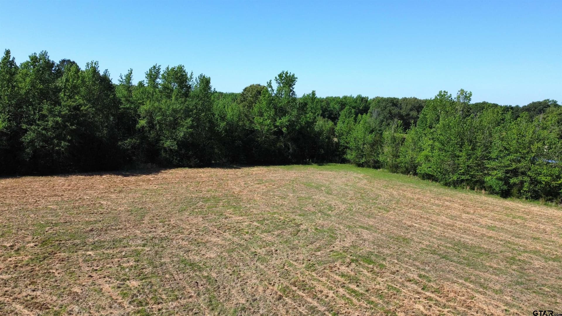 31.92 acres in Wood County - photo 19