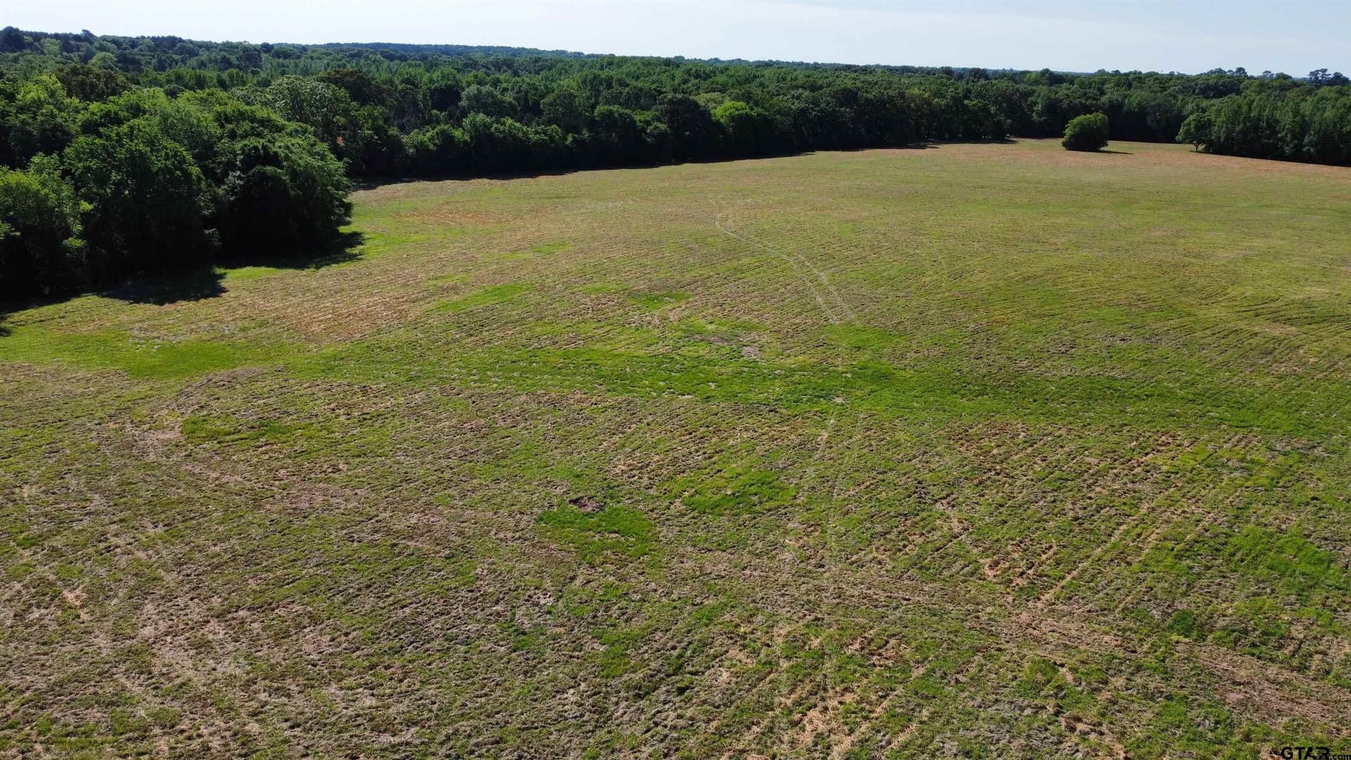 31.92 acres in Wood County - photo 27