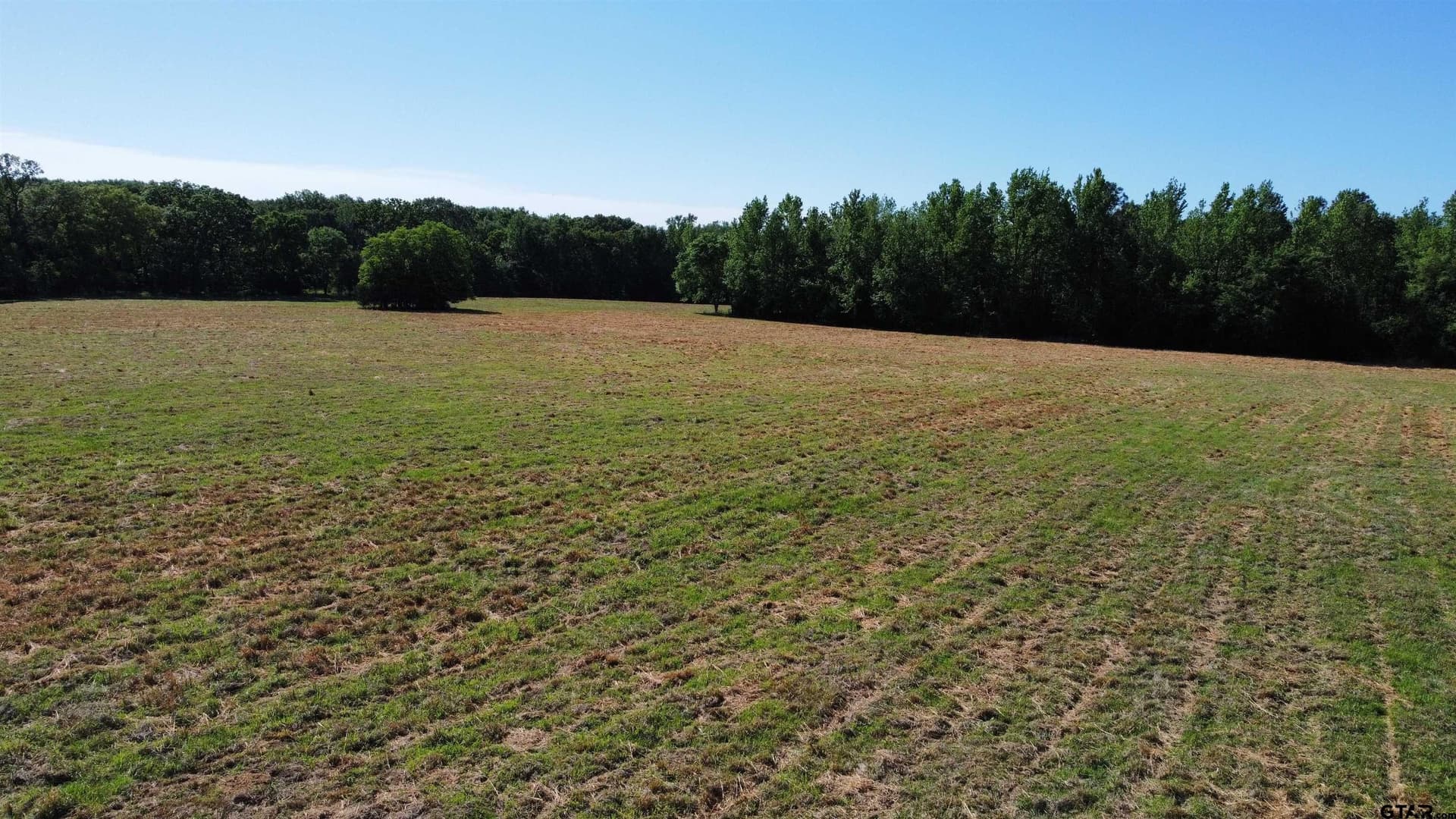 31.92 acres in Wood County - photo 4