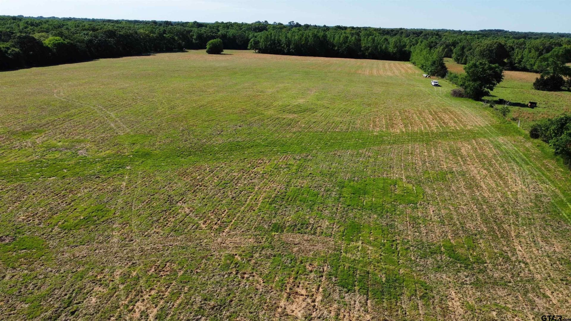 31.92 acres in Wood County - photo 26