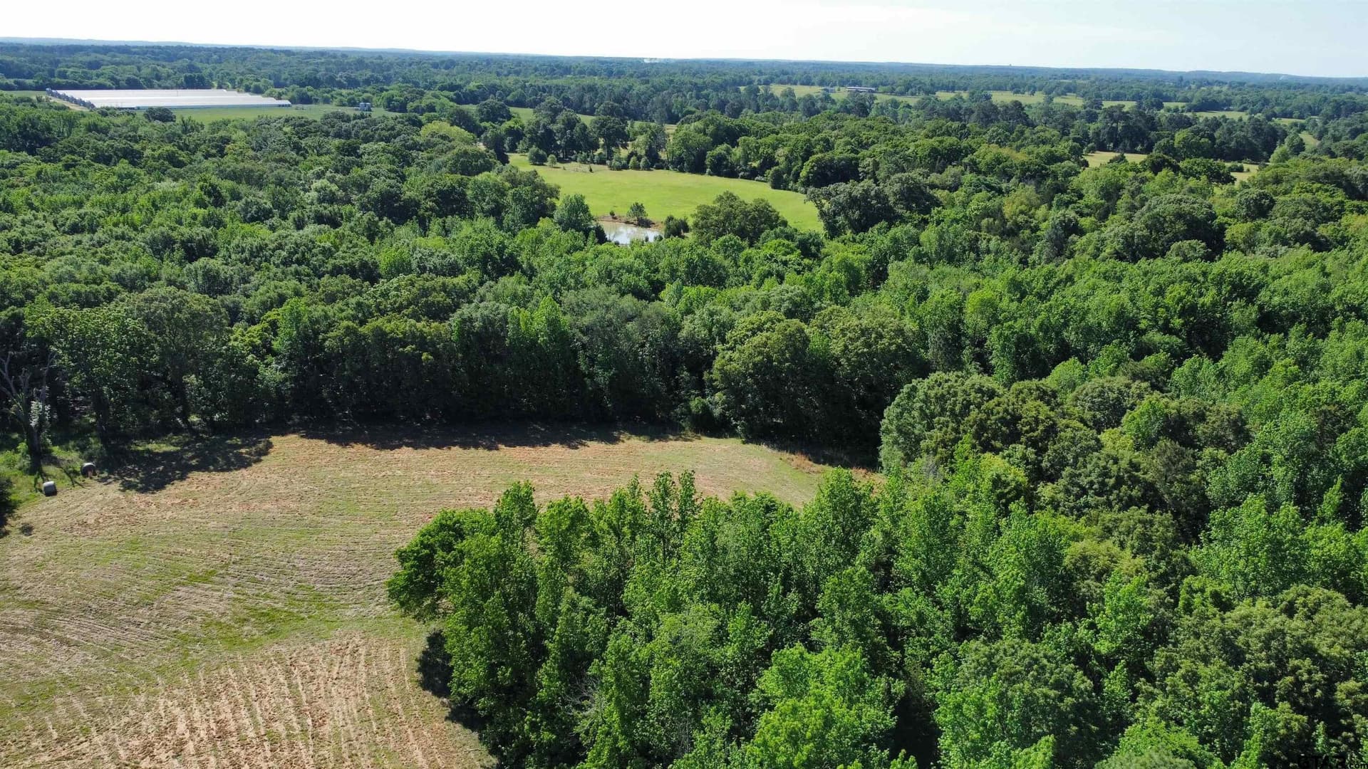 31.92 acres in Wood County - photo 18