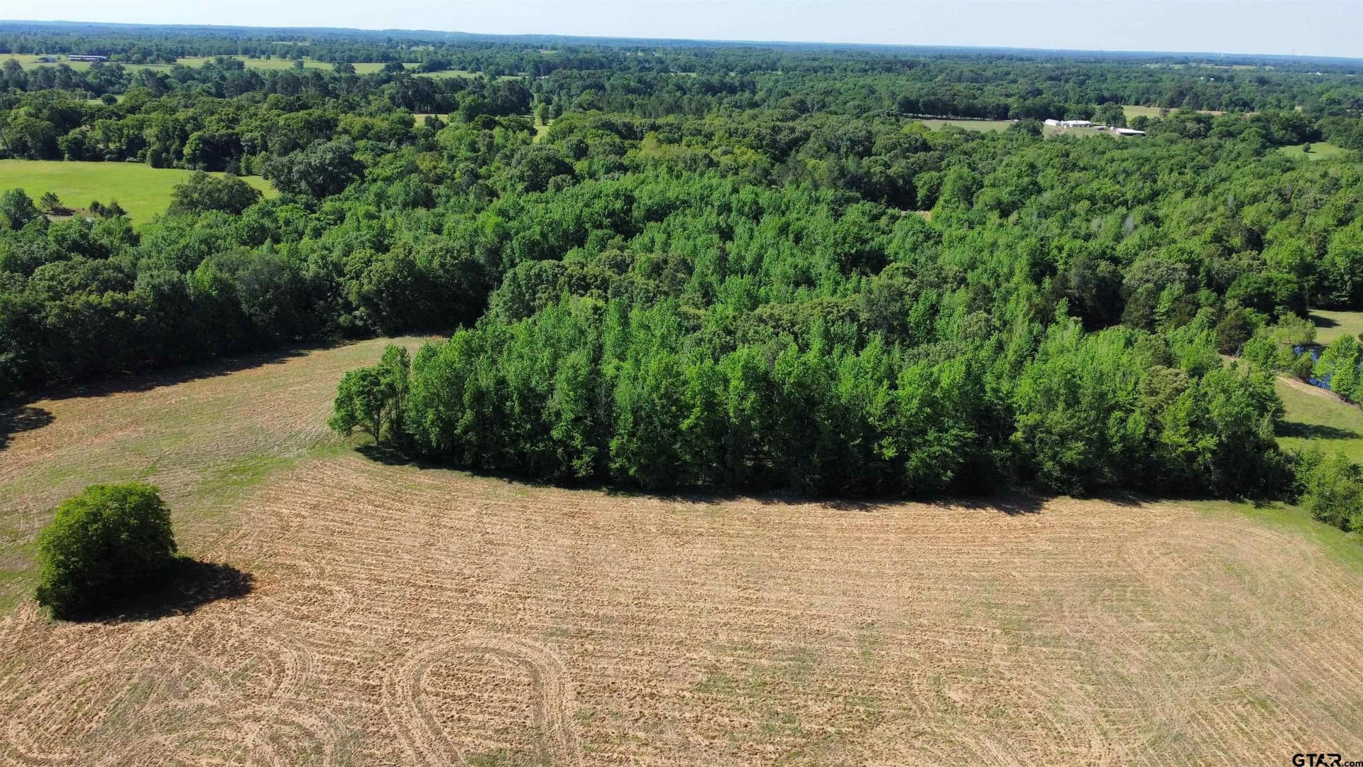 31.92 acres in Wood County - photo 21