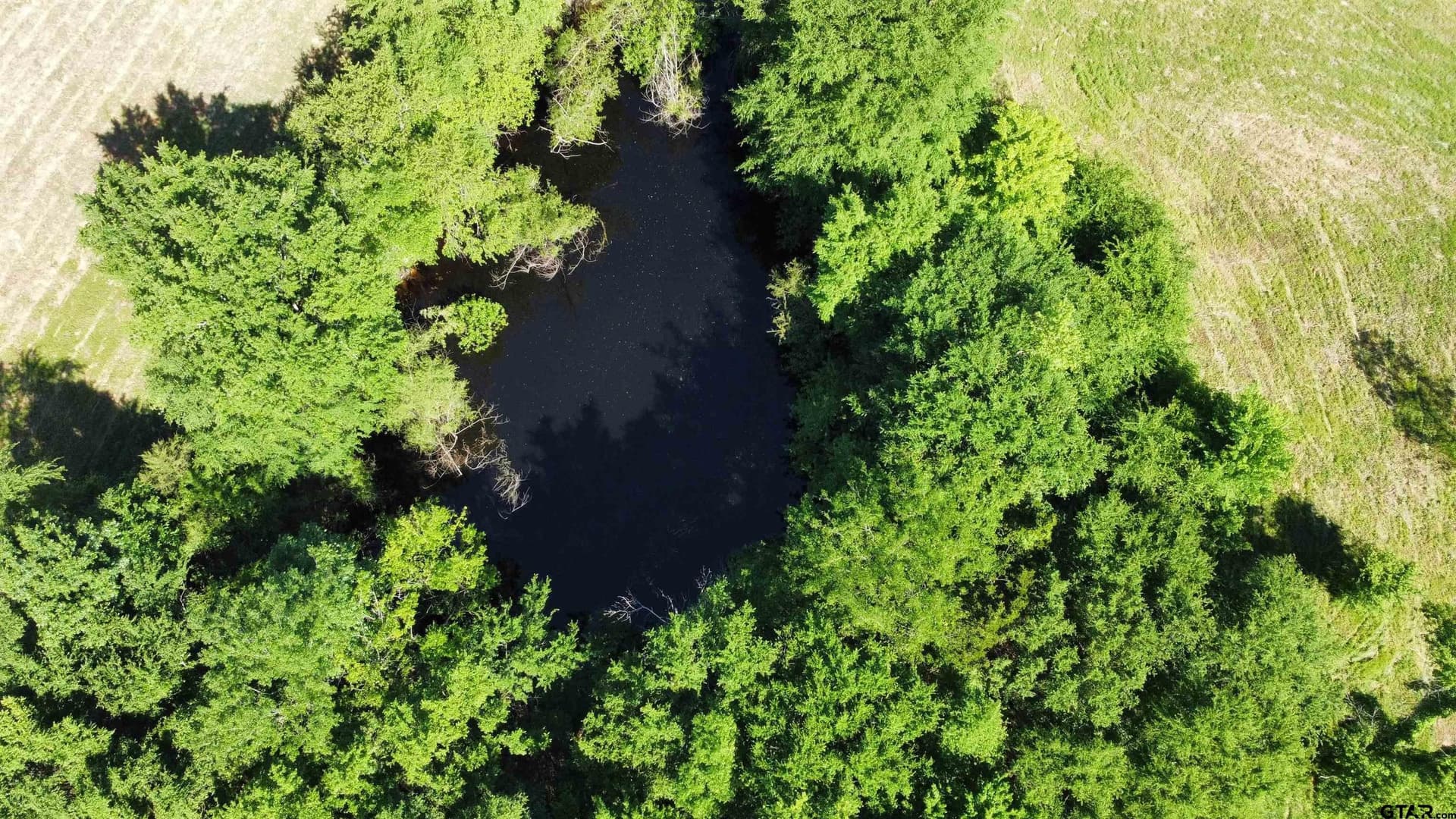 31.92 acres in Wood County - photo 31