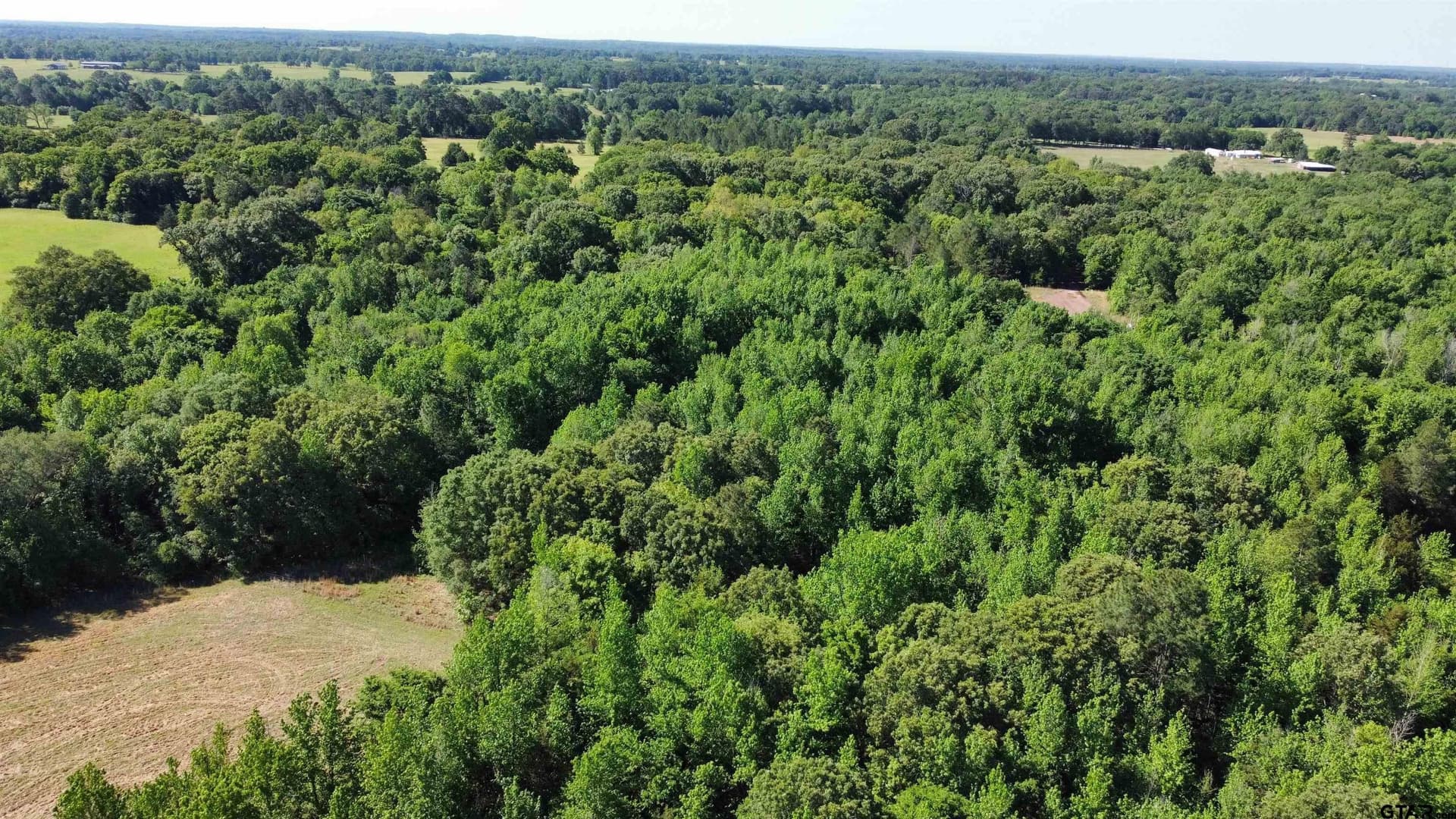 31.92 acres in Wood County - photo 14