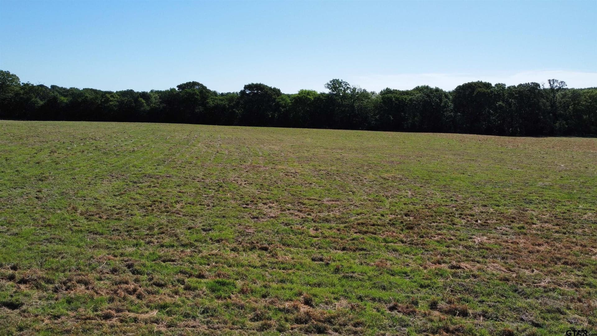 31.92 acres in Wood County - photo 7