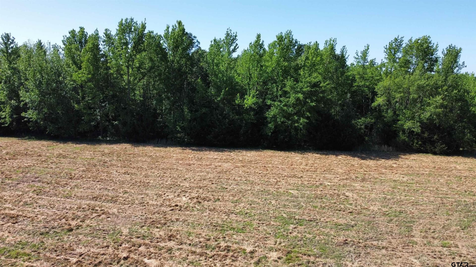 31.92 acres in Wood County - photo 12