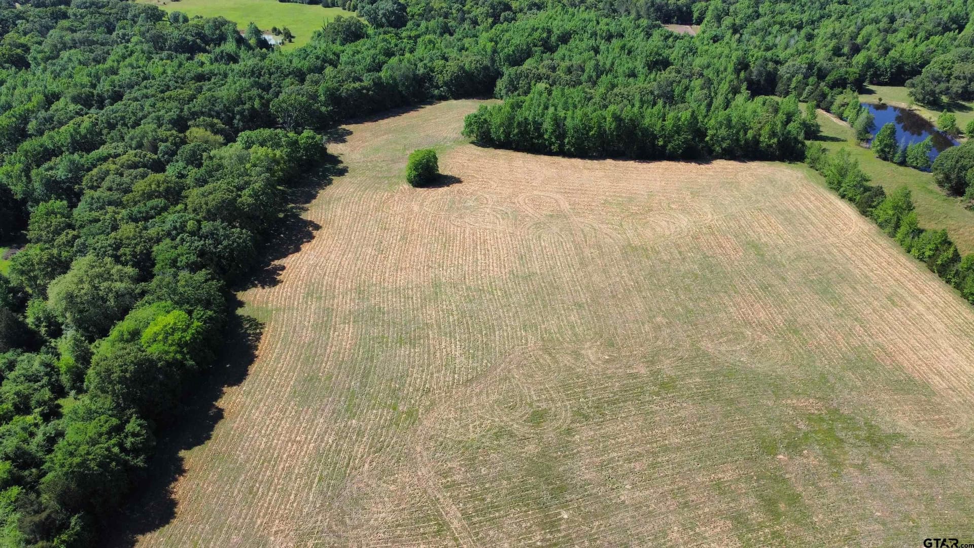 31.92 acres in Wood County - photo 2