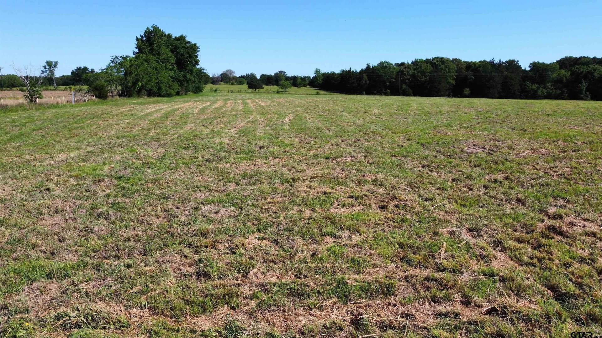 31.92 acres in Wood County - photo 6